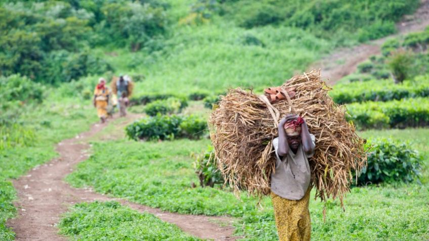 Congo, Dem. Republic