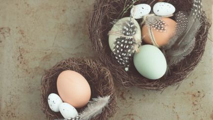 10 idées de sensibilisation de Pâques